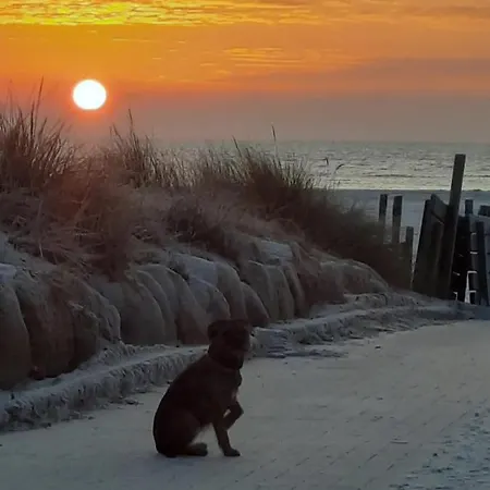 Meerruhe Apartamento
